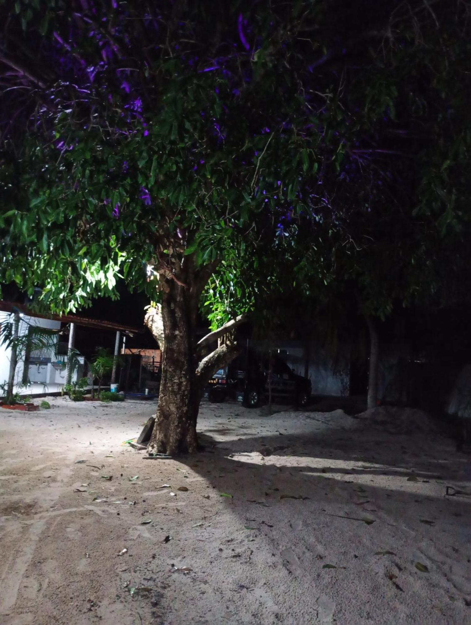 Hostel E Camping Na Rua Das Flores Santo Amaro do Maranhao 外观 照片