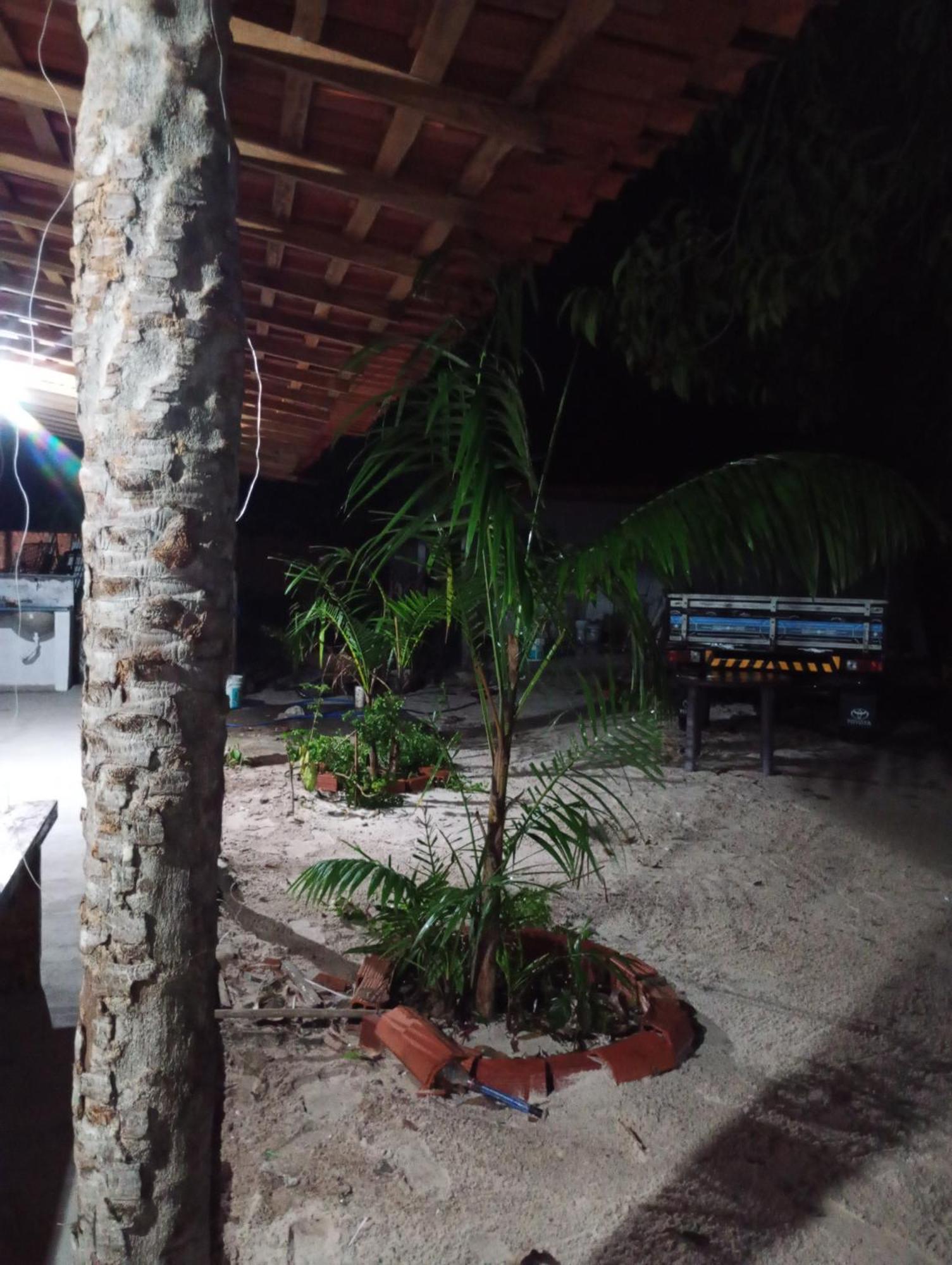 Hostel E Camping Na Rua Das Flores Santo Amaro do Maranhao 外观 照片