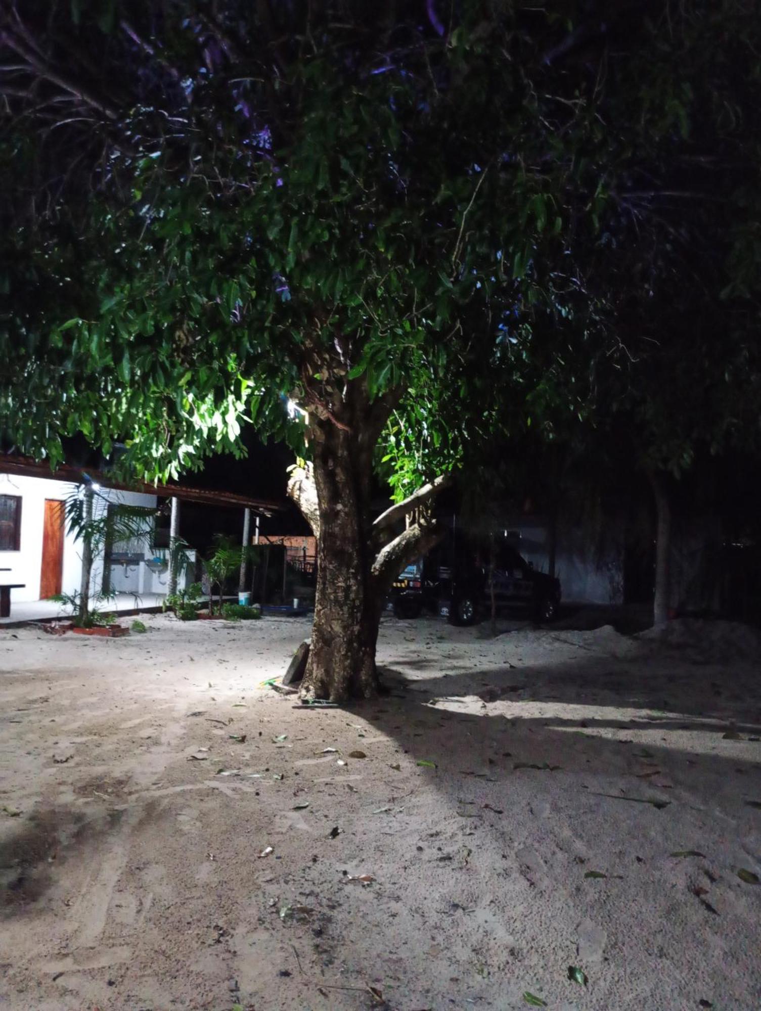 Hostel E Camping Na Rua Das Flores Santo Amaro do Maranhao 外观 照片