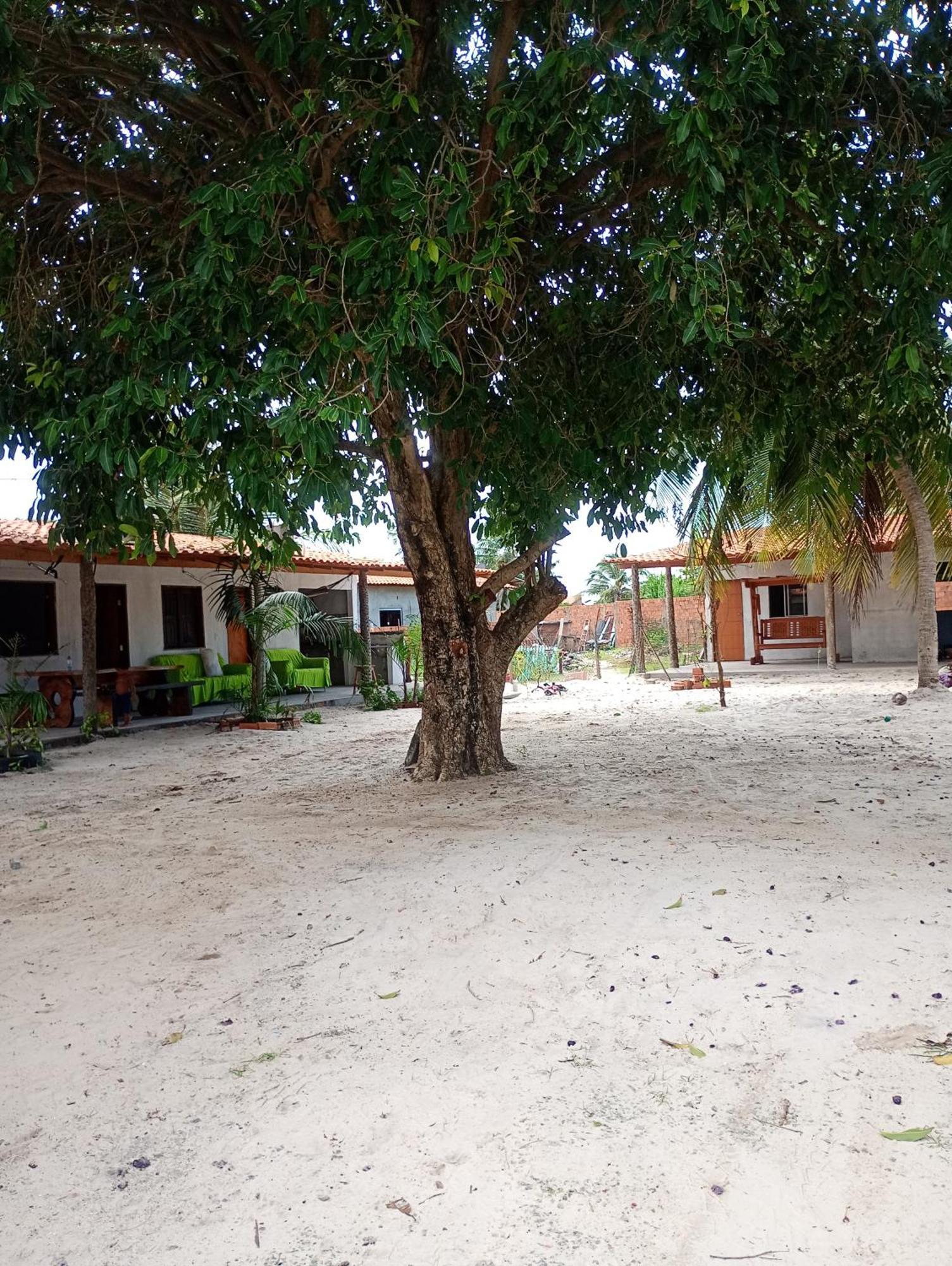 Hostel E Camping Na Rua Das Flores Santo Amaro do Maranhao 外观 照片