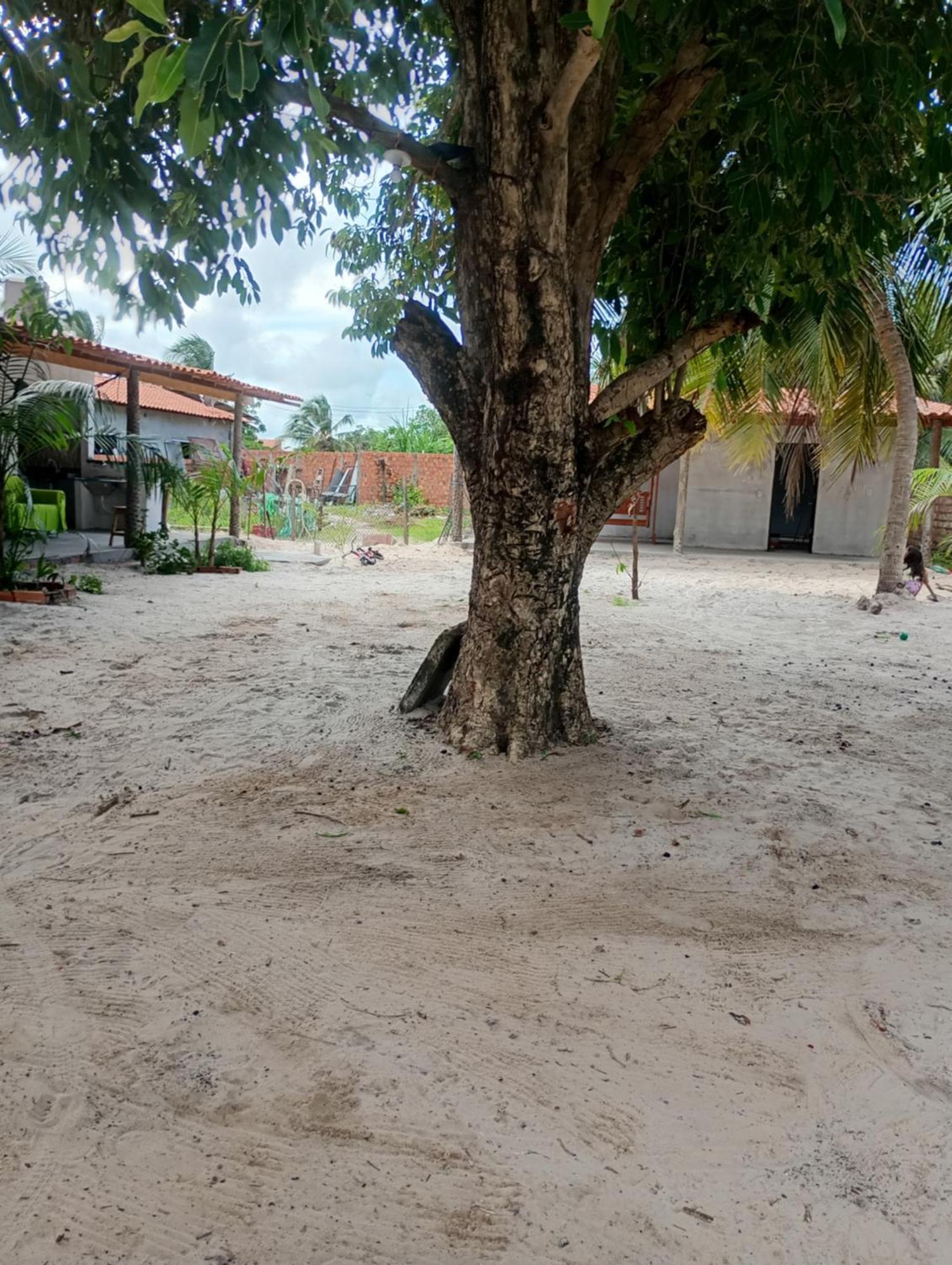 Hostel E Camping Na Rua Das Flores Santo Amaro do Maranhao 外观 照片